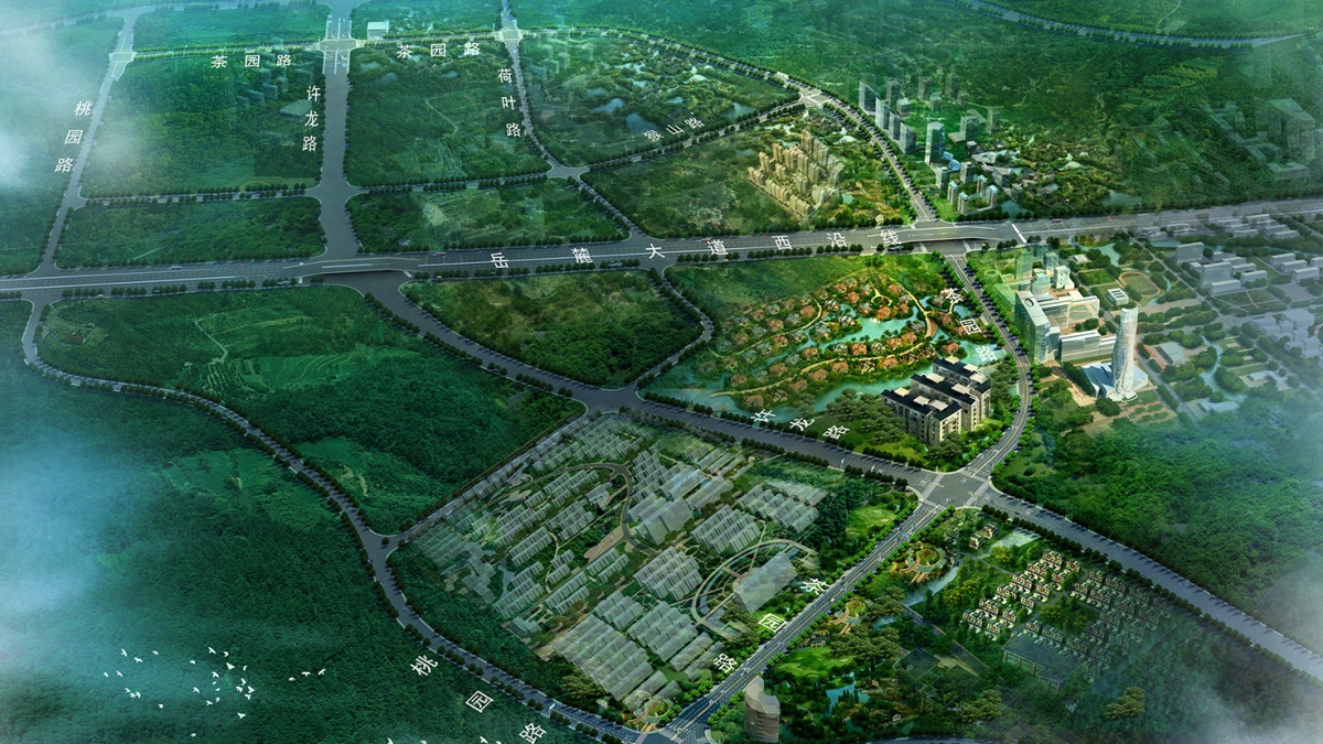 桐寧路、茶園路道路工程